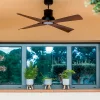 ventilador-techo-faro-winche-m-exterior-led-mando-motor-dc-negro-marron-oscuro-33481-7 Ventilador de techo para exterior Faro Barcelona Winche marrón con luz LED