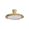 ventilador-techo-retractil-alemar-qatar-led-motor-dc-madera-clara-16016 Ventilador retráctil Alemar Qatar madera clara luz LED 49-120 cm